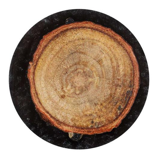 Round Wood and Resin Drawer Knob