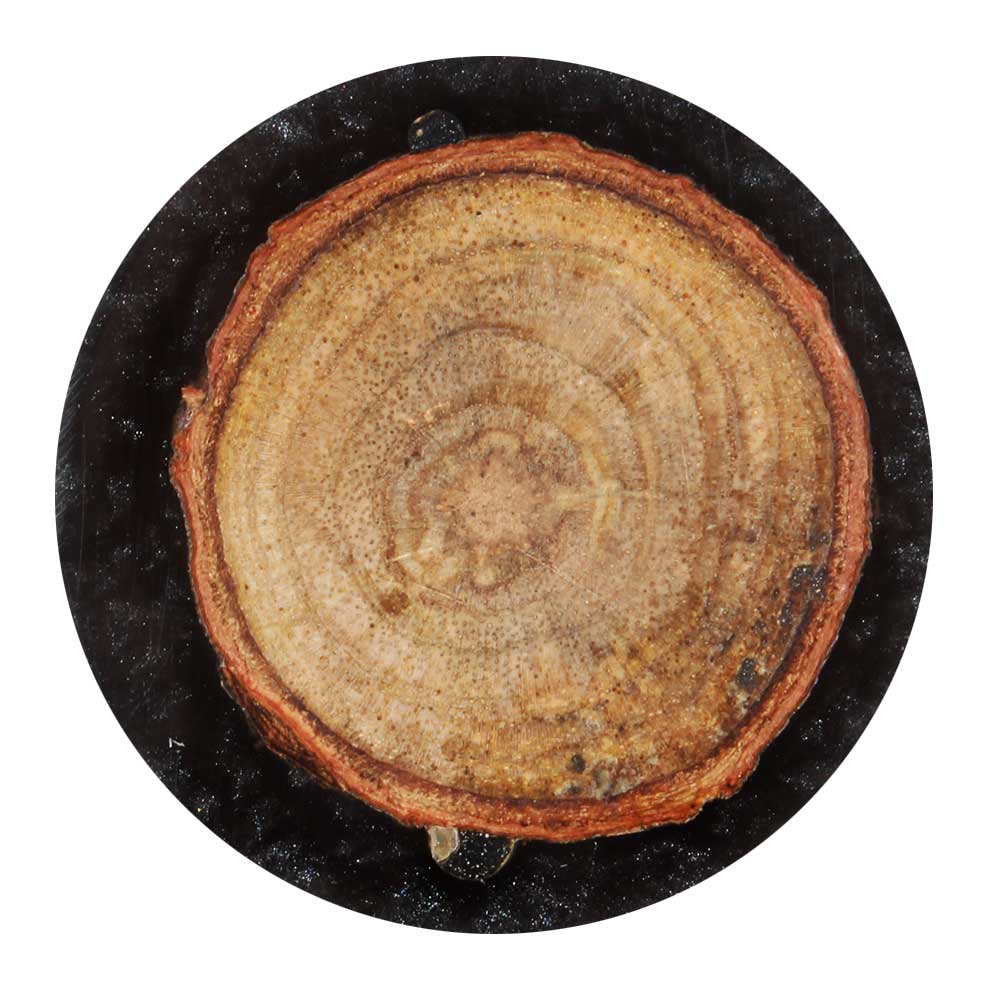 Round Wood and Resin Drawer Knob